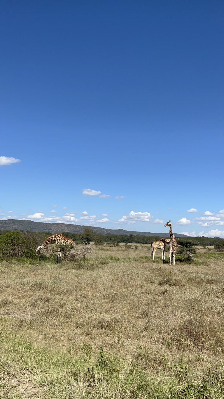 Nakuru National Park, Kenya 2024